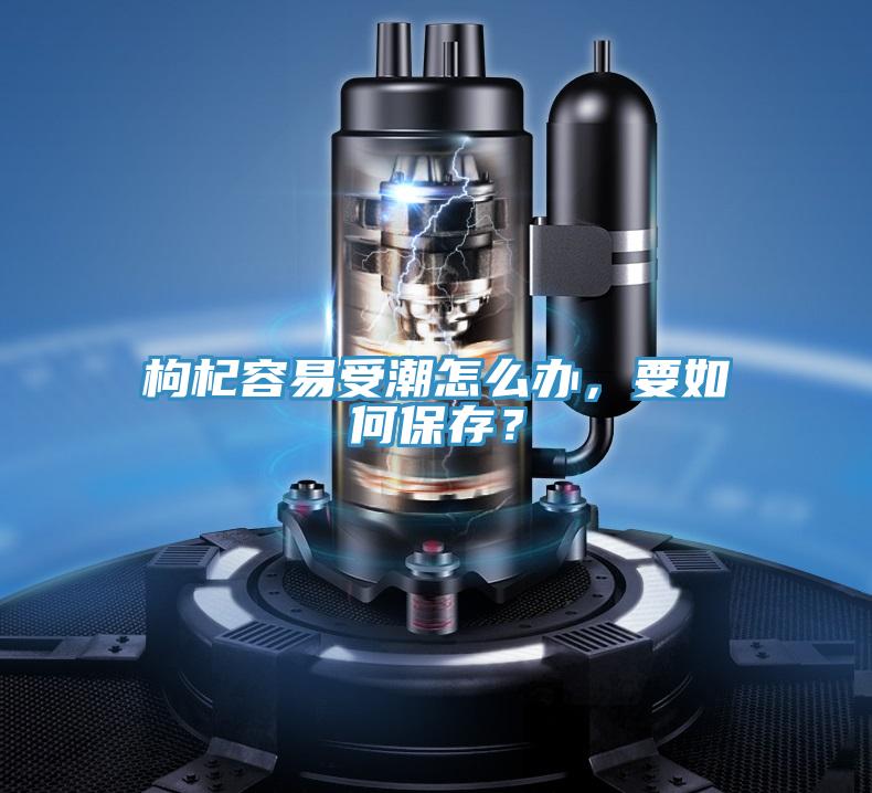 枸杞容易受潮怎么辦，要如何保存？