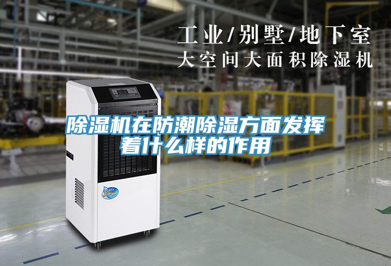 除濕機在防潮除濕方面發揮著什么樣的作用
