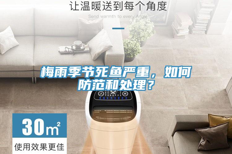 梅雨季節死魚嚴重，如何防范和處理？