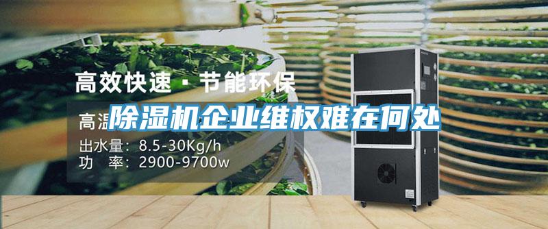 除濕機企業維權難在何處