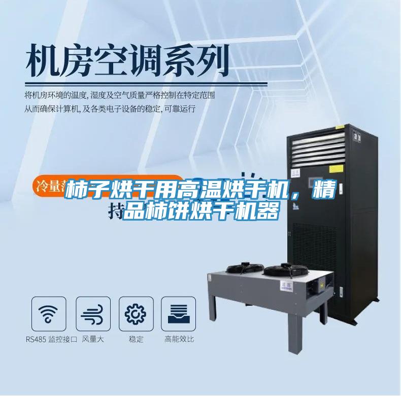 柿子烘干用高溫烘干機，精品柿餅烘干機器
