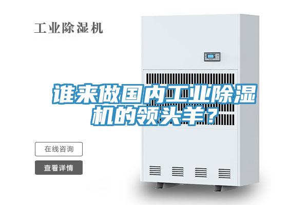 誰來做國內工業除濕機的領頭羊？