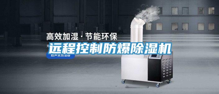 遠程控制防爆除濕機