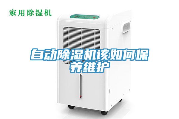 自動除濕機該如何保養維護