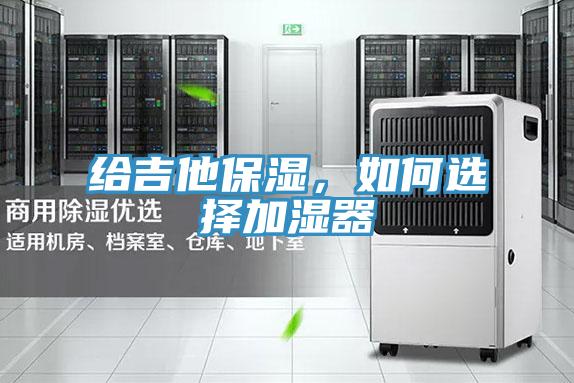 給吉他保濕，如何選擇加濕器