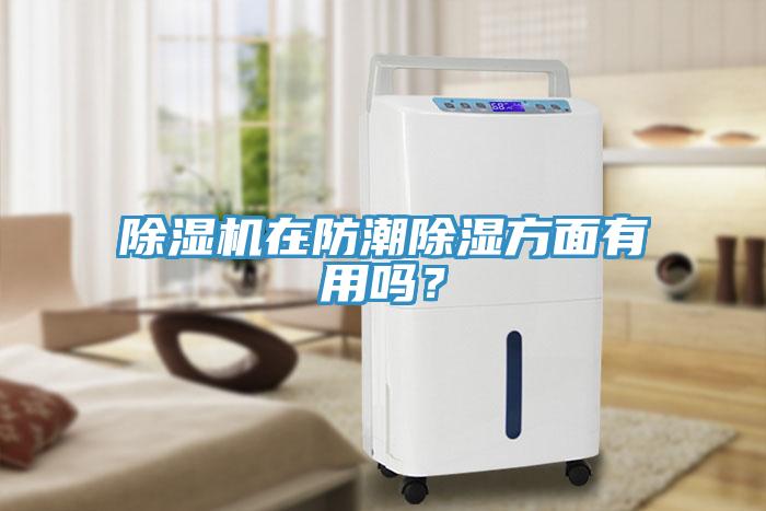 除濕機在防潮除濕方面有用嗎？