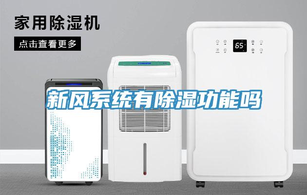 新風系統有除濕功能嗎