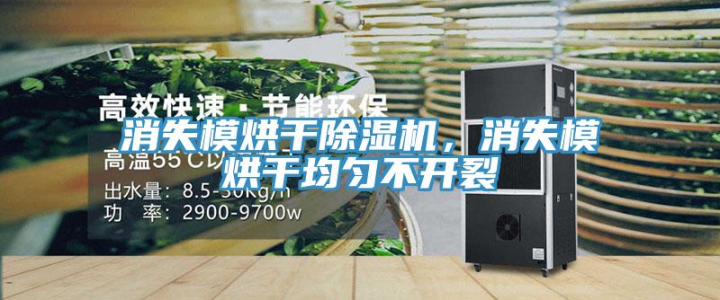 消失模烘干除濕機，消失模烘干均勻不開裂