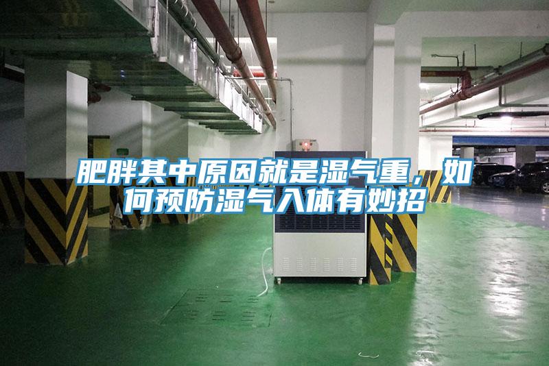 肥胖其中原因就是濕氣重，如何預防濕氣入體有妙招