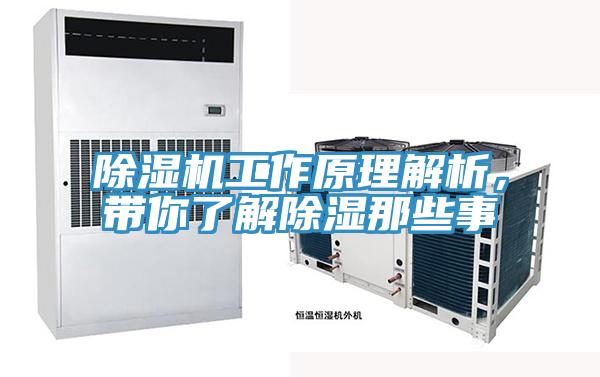 除濕機工作原理解析，帶你了解除濕那些事