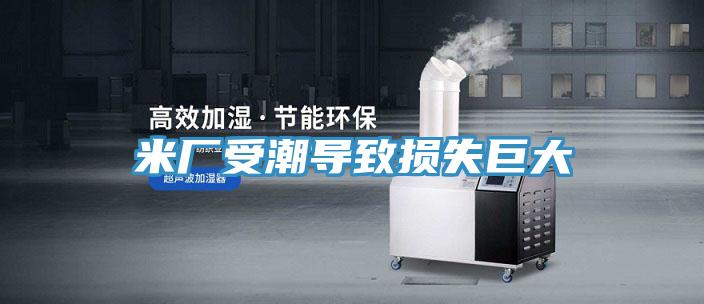 米廠受潮導致損失巨大