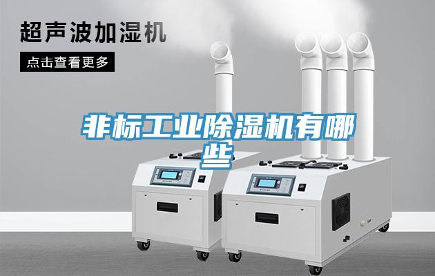 非標工業除濕機有哪些