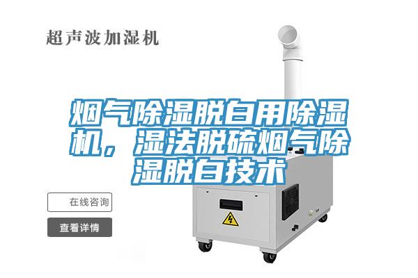 煙氣除濕脫白用除濕機，濕法脫硫煙氣除濕脫白技術