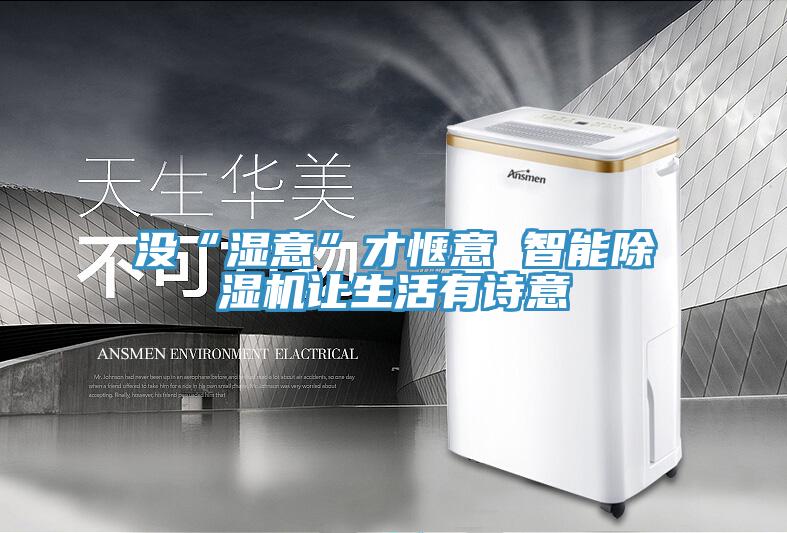 沒“濕意”才愜意 智能除濕機讓生活有詩意