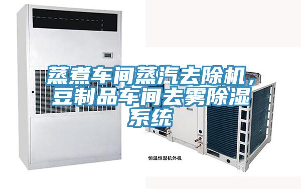 蒸煮車間蒸汽去除機，豆制品車間去霧除濕系統