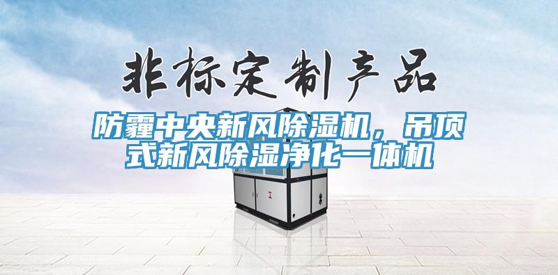 防霾中央新風除濕機，吊頂式新風除濕凈化一體機