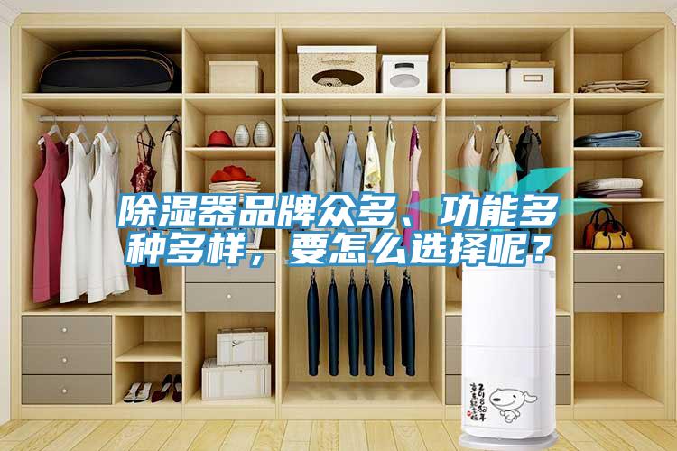 除濕器品牌眾多、功能多種多樣，要怎么選擇呢？