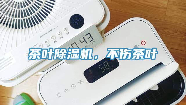 茶葉除濕機，不傷茶葉