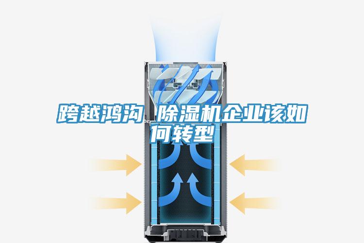跨越鴻溝 除濕機企業該如何轉型