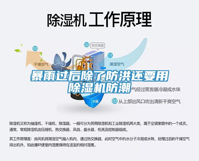 暴雨過后除了防洪還要用除濕機防潮