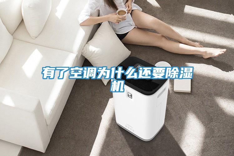 有了空調為什么還要除濕機