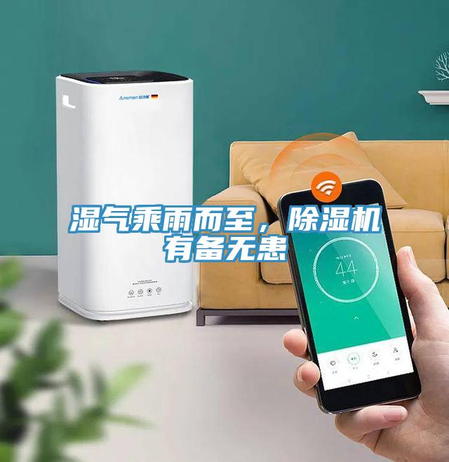 濕氣乘雨而至，除濕機有備無患