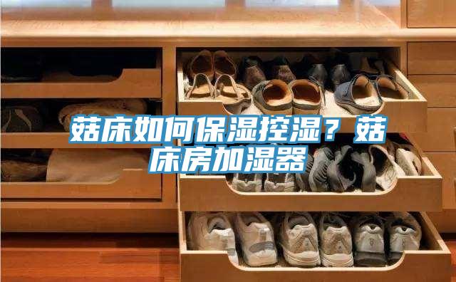 菇床如何保濕控濕？菇床房加濕器