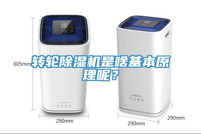 轉輪除濕機是啥基本原理呢？