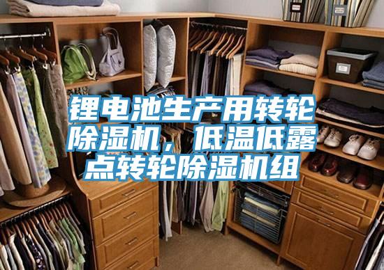 鋰電池生產用轉輪除濕機，低溫低露點轉輪除濕機組
