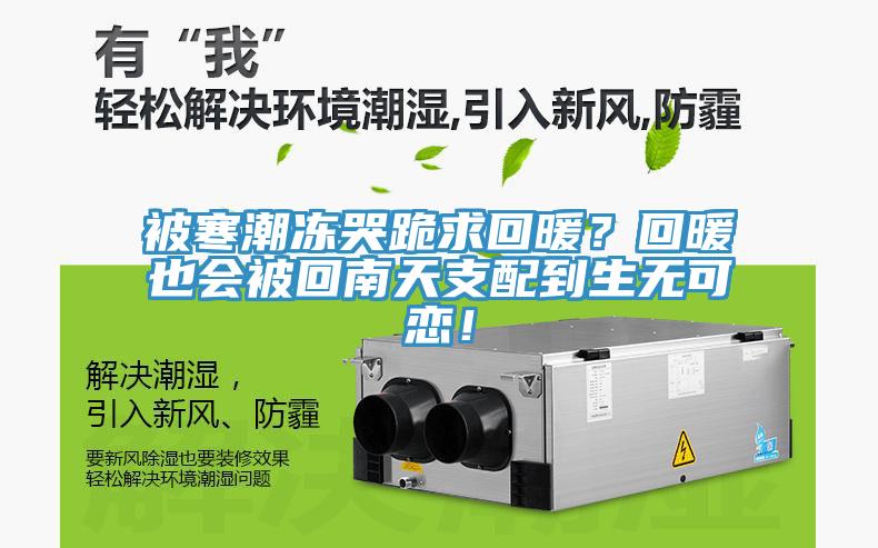 被寒潮凍哭跪求回暖？回暖也會被回南天支配到生無可戀！