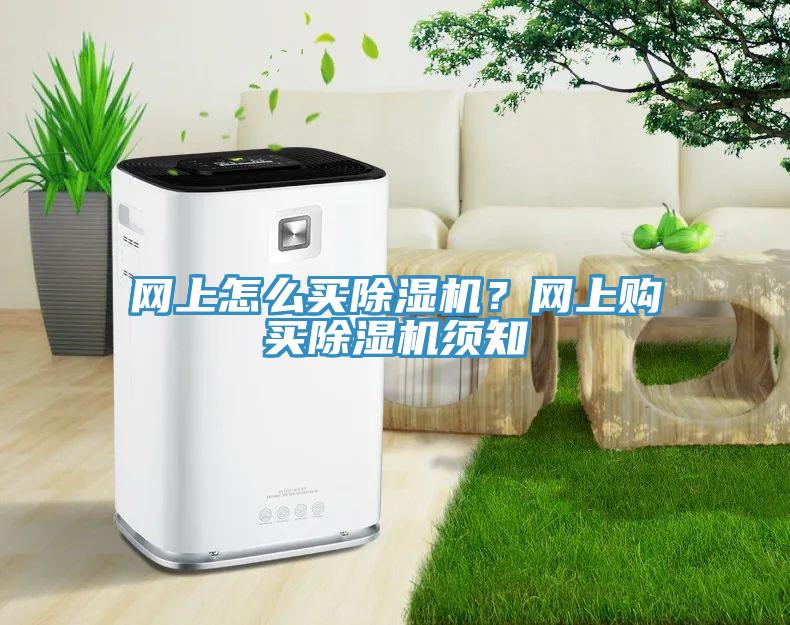 網上怎么買除濕機？網上購買除濕機須知