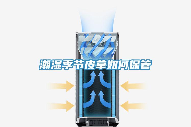 潮濕季節皮草如何保管