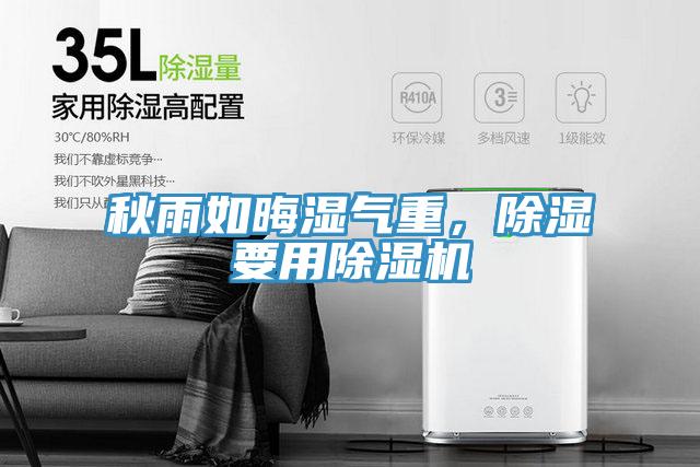 秋雨如晦濕氣重，除濕要用除濕機