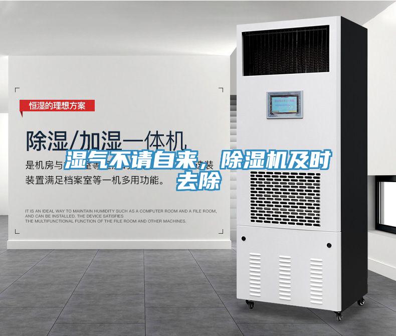 濕氣不請自來，除濕機及時去除