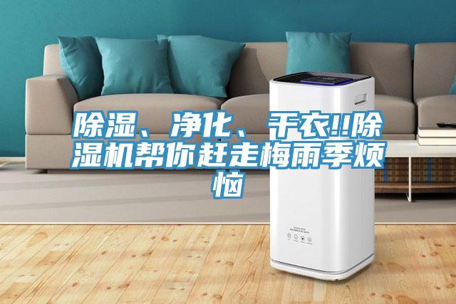 除濕、凈化、干衣!!除濕機幫你趕走梅雨季煩惱