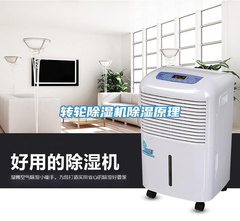 轉輪除濕機除濕原理