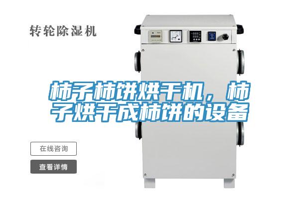 柿子柿餅烘干機，柿子烘干成柿餅的設備