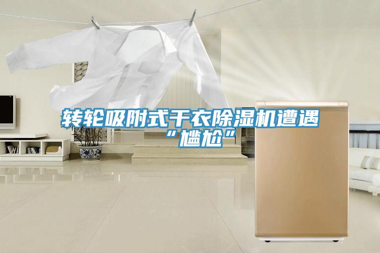轉輪吸附式干衣除濕機遭遇“尷尬”