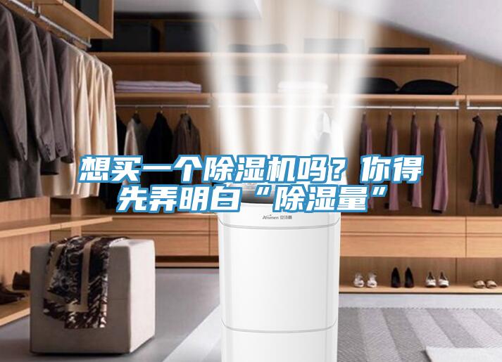 想買一個除濕機嗎？你得先弄明白“除濕量”