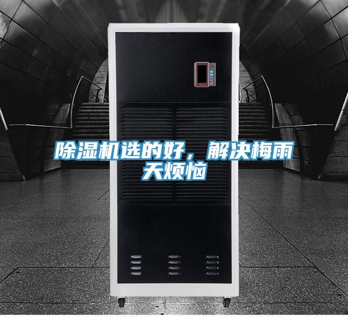 除濕機選的好，解決梅雨天煩惱