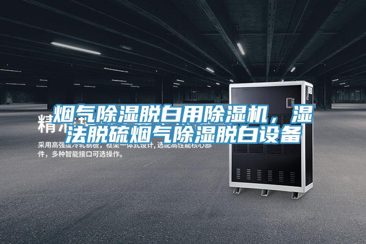 煙氣除濕脫白用除濕機，濕法脫硫煙氣除濕脫白設備