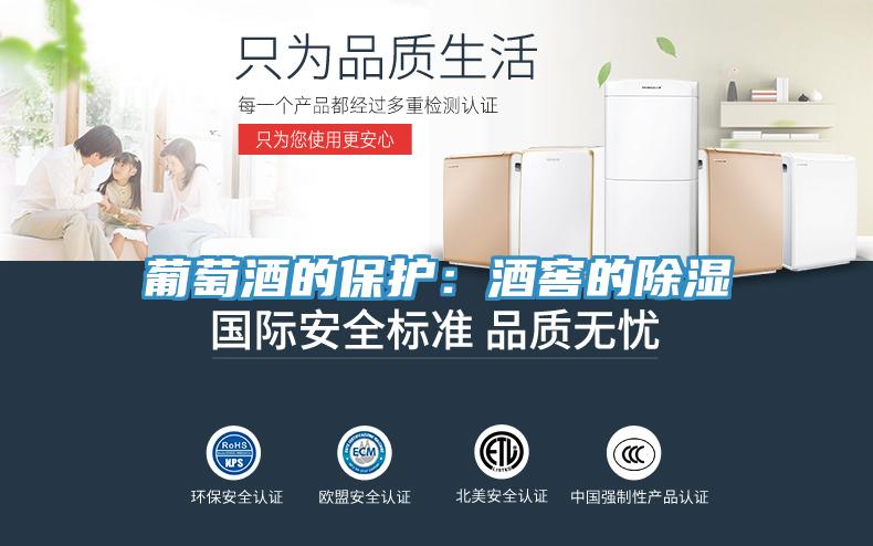 葡萄酒的保護：酒窖的除濕