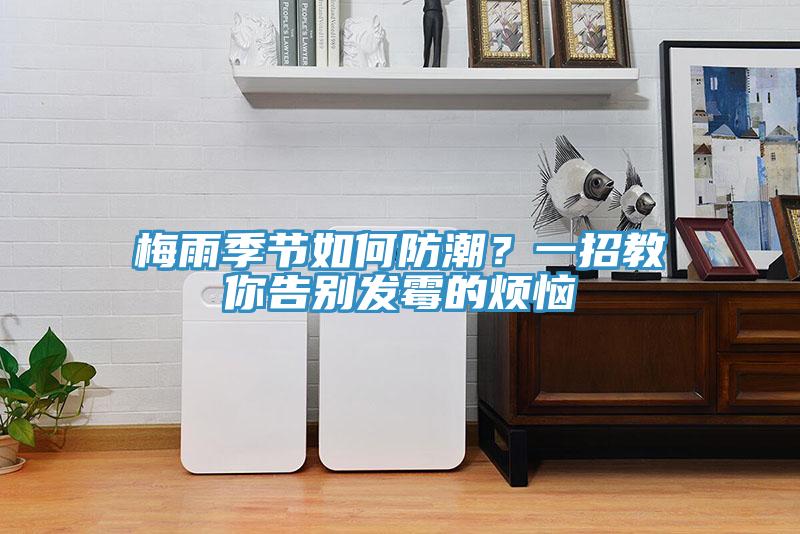梅雨季節如何防潮？一招教你告別發霉的煩惱