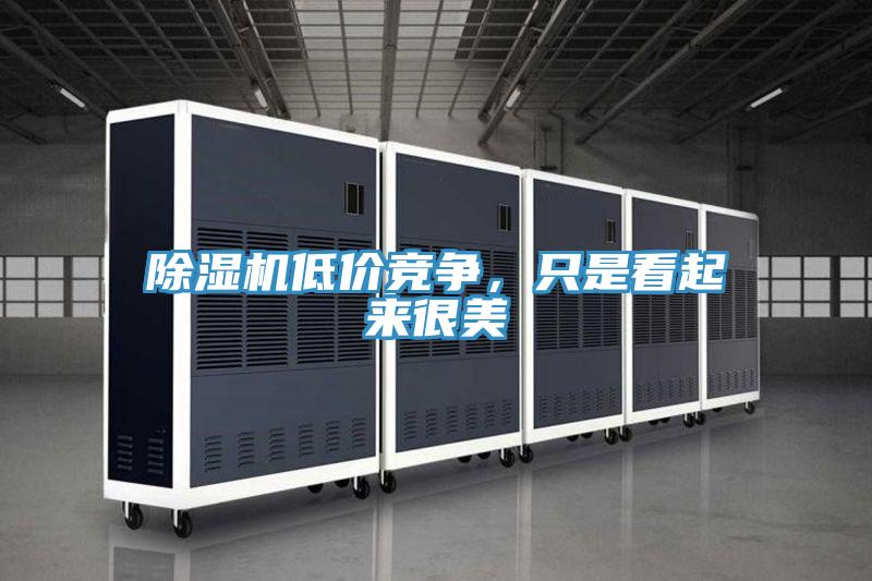 除濕機低價競爭，只是看起來很美