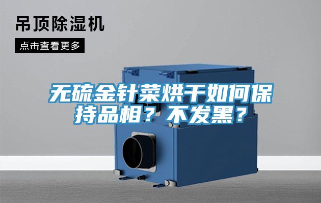 無硫金針菜烘干如何保持品相？不發黑？