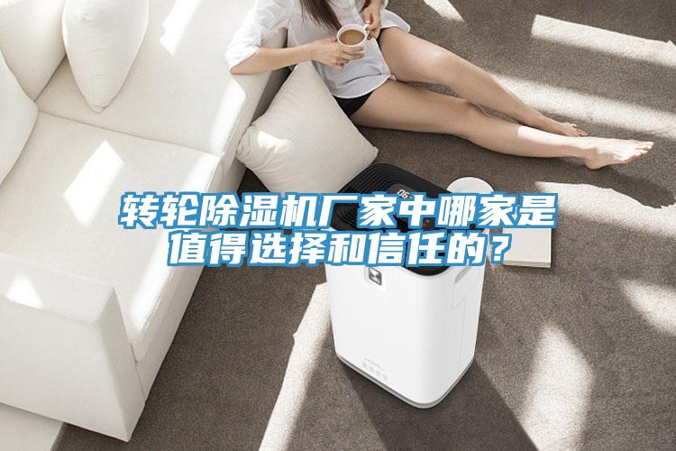 轉輪除濕機廠家中哪家是值得選擇和信任的？