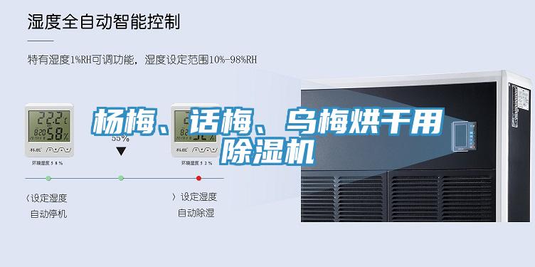 楊梅、話梅、烏梅烘干用除濕機