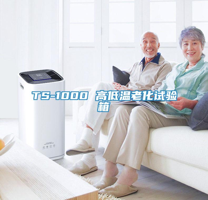 TS-1000 高低溫老化試驗箱
