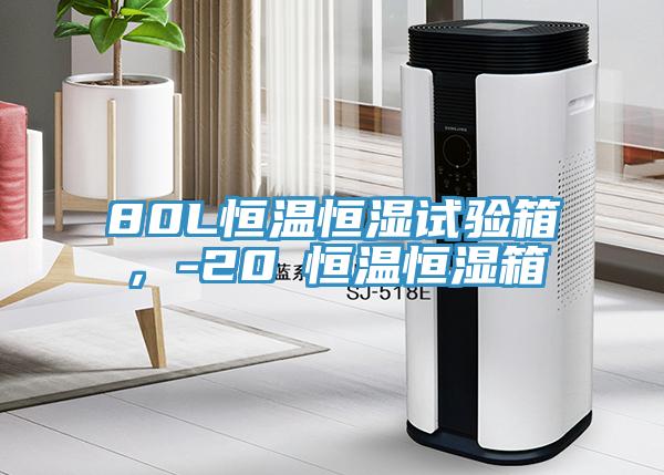 80L恒溫恒濕試驗箱，-20℃恒溫恒濕箱