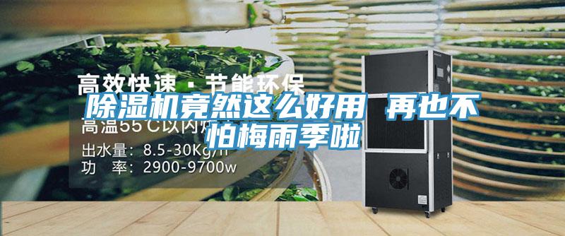 除濕機竟然這么好用 再也不怕梅雨季啦